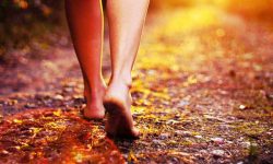 Manfaat Berjalan Kaki, Langkah Sederhana Menuju Kesehatan yang Lebih Baik