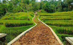 Bangun Jalan Usaha Tani di Sumedang Senilai Rp10,8 Miliar