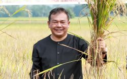 Ratusan Hektar Sawah di Purwakarta Awali Panen Raya 2024