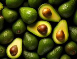 Manfaat Buah Alpukat untuk Kesehatan