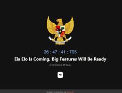 Waspada Saat Mengakses Aplikasi Elaelo.id, Aplikasi Palsu Berpotensi Ada Pencurian Data