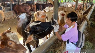 Persiapan dan Pengawasan Hewan Kurban di Jabar Jelang Idul Adha 2024