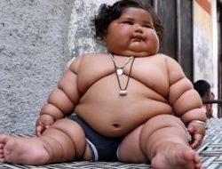Edukasi Makanan Sehat di Sekolah untuk Cegah Obesitas pada Anak