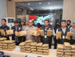 Polres Metro Jakarta Utara Gagalkan Peredaran 77 Kilogram Ganja