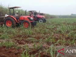 Petani Subang Terusir dari Lahan Garapan, Pertanyakan Keabsahan Sertifikat HGU