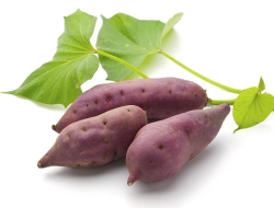 Ubi Jalar dan Makanan Padat Nutrisi Lainnya untuk Kesehatan Tubuh