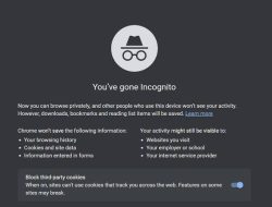 Memahami Cara Kerja Mode Incognito di Google Chrome