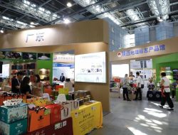 Pameran GI dalam Konferensi Kekayaan Intelektual China: Menyajikan Kualitas dan Warisan Budaya