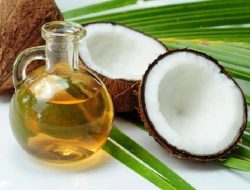 Manfaat Minyak Kelapa untuk Perawatan Kulit dan Kesehatan Tubuh