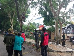 DLH Subang Pangkas Pohon