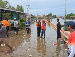 857 Rumah Terdampak Rob Air Laut Pantura Subang