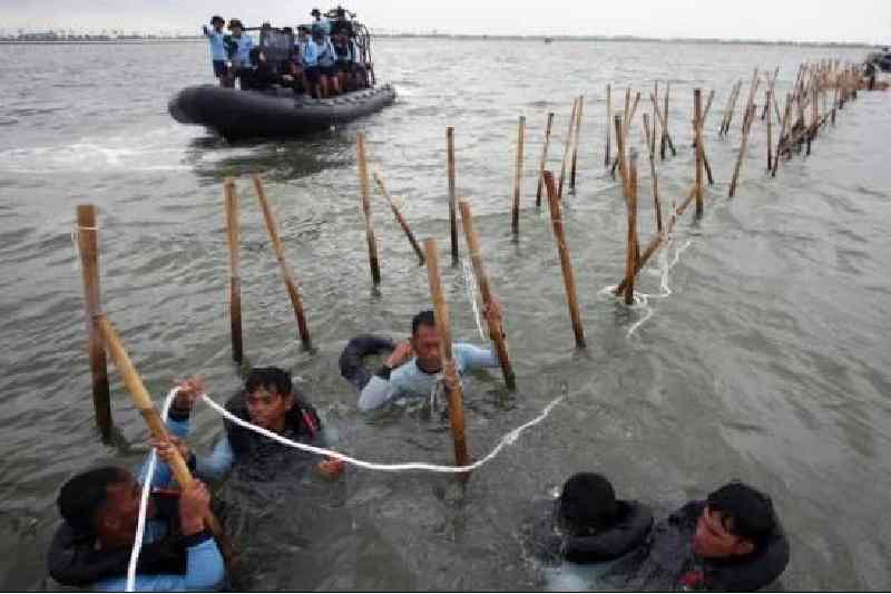 Pasukan Komando Pasukan Katak (Kopaska) TNI AL membongkar pagar laut di kawasan Pantai Tanjung Pasir, Kabupaten Tangerang, Banten, Rabu (22/1/2025). (Sumber: ANTARA FOTO/Muhammad Iqbal)
