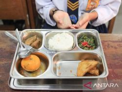 Pro dan Kontra Masyarakat Terkait Penggunaan Belalang sebagai Menu Makan Bergizi Gratis