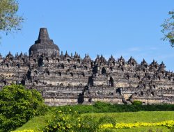 Menbud Fadli Zon Tegaskan Tak Ada Eskalator di Candi Borobudur