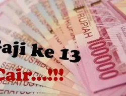 Pemerintah Salurkan Gaji ke-13 Sebesar Rp32,8 Triliun, Baru 48 Persen ASN Daerah Terima Pencairan