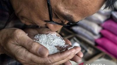 Patahan Beras Jadi Ciri Utama Bedakan Beras Premium dan Oplosan