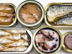 Mengubah Laut Jadi Cuan, Peluang Usaha Menggiurkan dari Pengolahan Ikan Kaleng