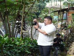 Rey: Banyak Destinasi Wisata Memukau di Subang