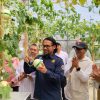 Lompatan Produktivitas Melon Machida di Subang: Inovasi Riset POLSUB dan Bapperida Silangkan Teknologi dengan Agrowisata