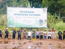 Kejaksaan Jagaraksa Tatanen, Program Pendampingan Petani di Sawah Desa Ciracas